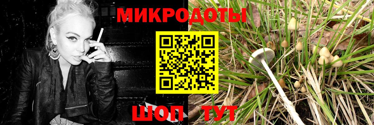 Лесозаводск  Галлюциногенные грибы GOLDEN TEACHER  Вход с VPN  Галлюциногенные грибы Psilocybe 